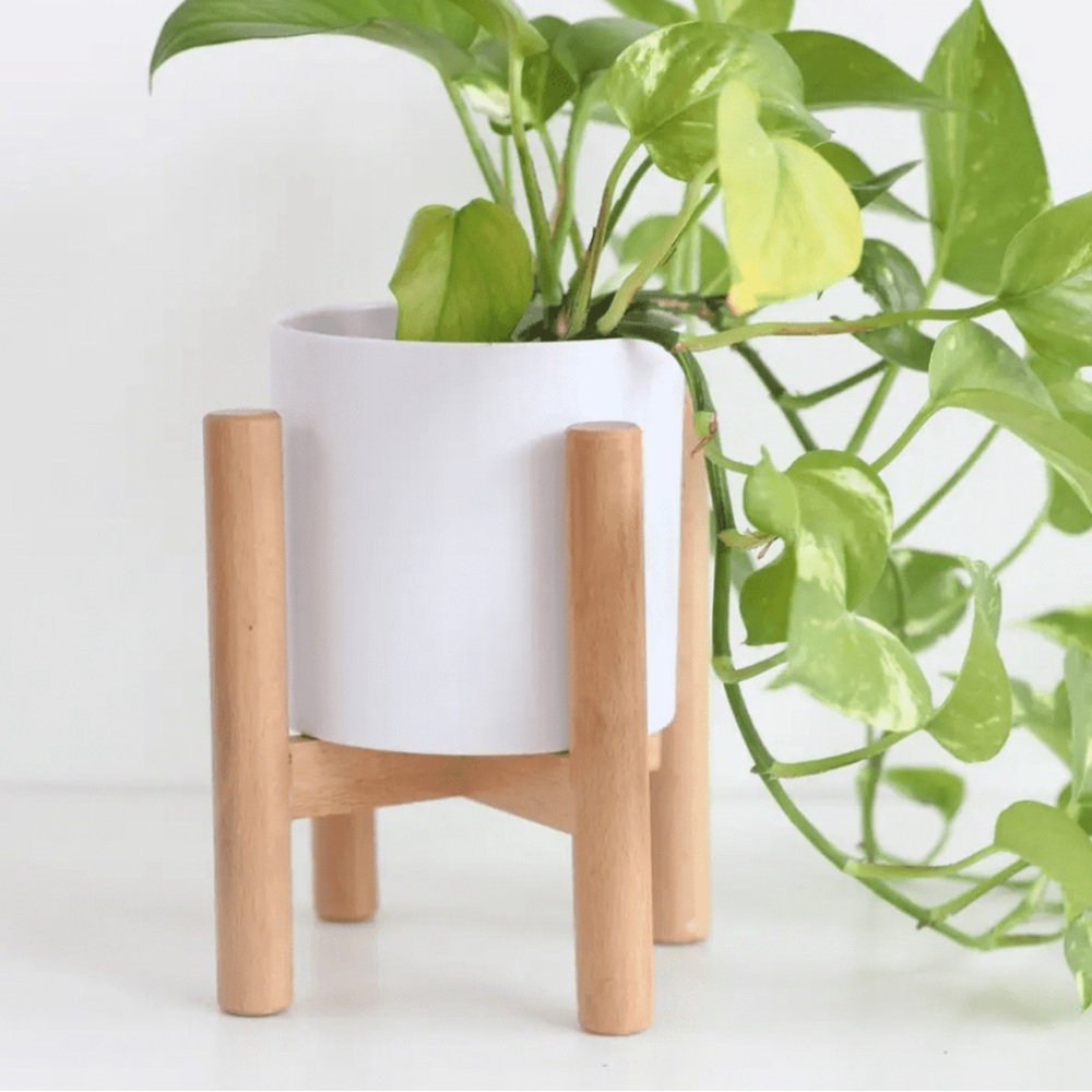 Plant stands